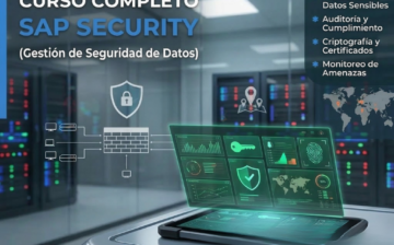 SAP Seguridad